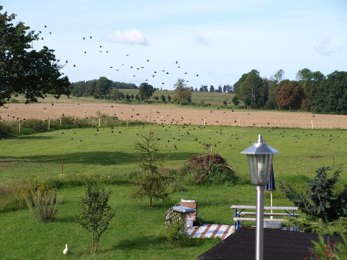 Landhaus Kranichwiese เกอห์เรน-เลบบิน ภายนอก รูปภาพ