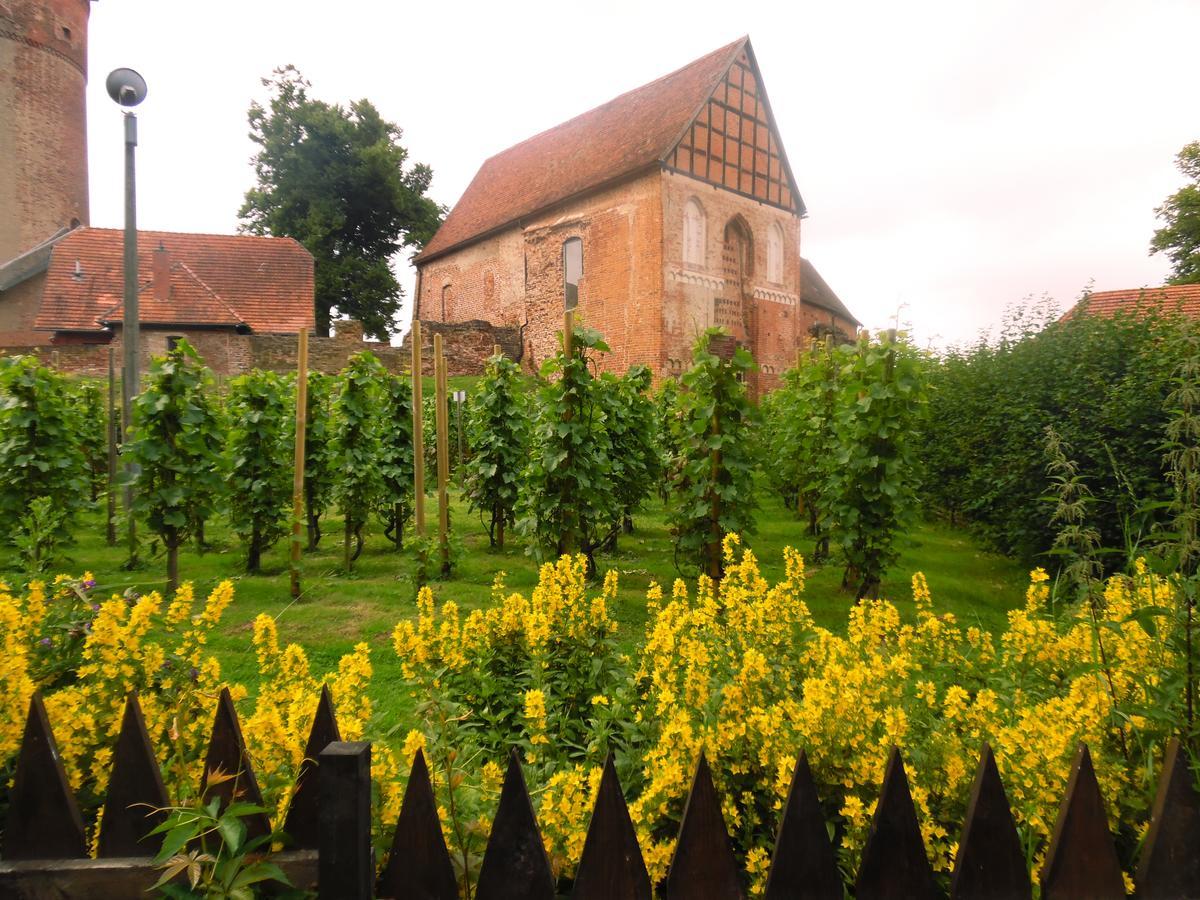 Landhaus Kranichwiese เกอห์เรน-เลบบิน ภายนอก รูปภาพ