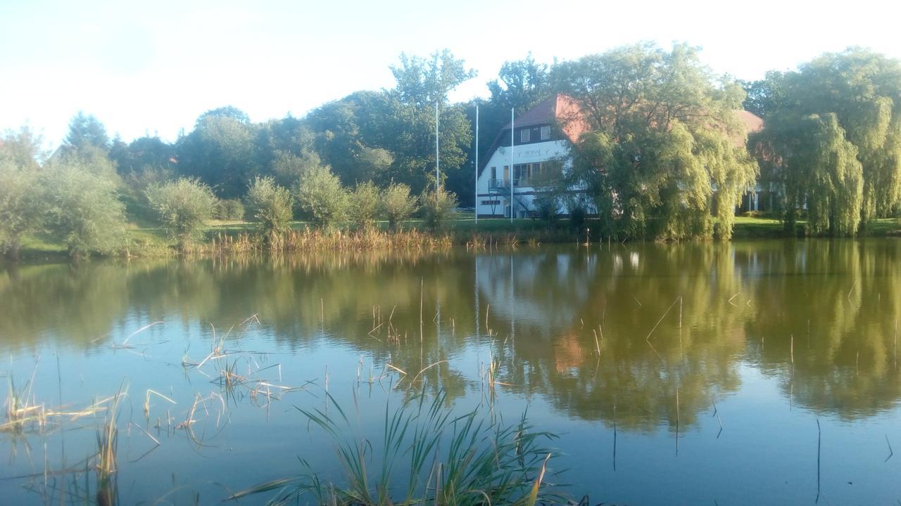 Landhaus Kranichwiese เกอห์เรน-เลบบิน ภายนอก รูปภาพ
