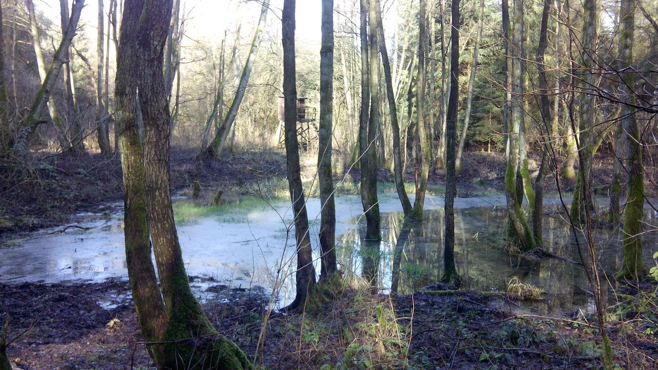 Landhaus Kranichwiese เกอห์เรน-เลบบิน ภายนอก รูปภาพ