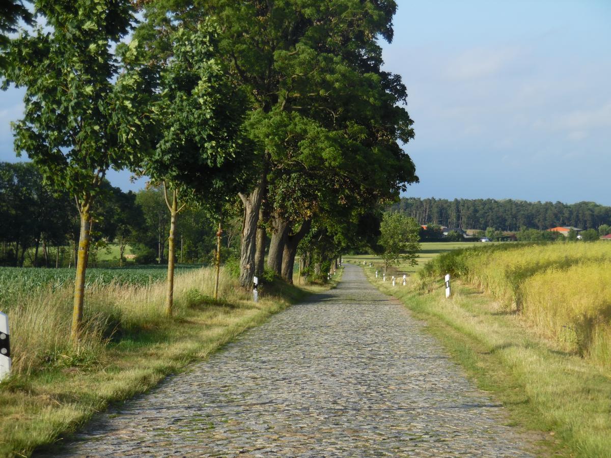 Landhaus Kranichwiese เกอห์เรน-เลบบิน ภายนอก รูปภาพ