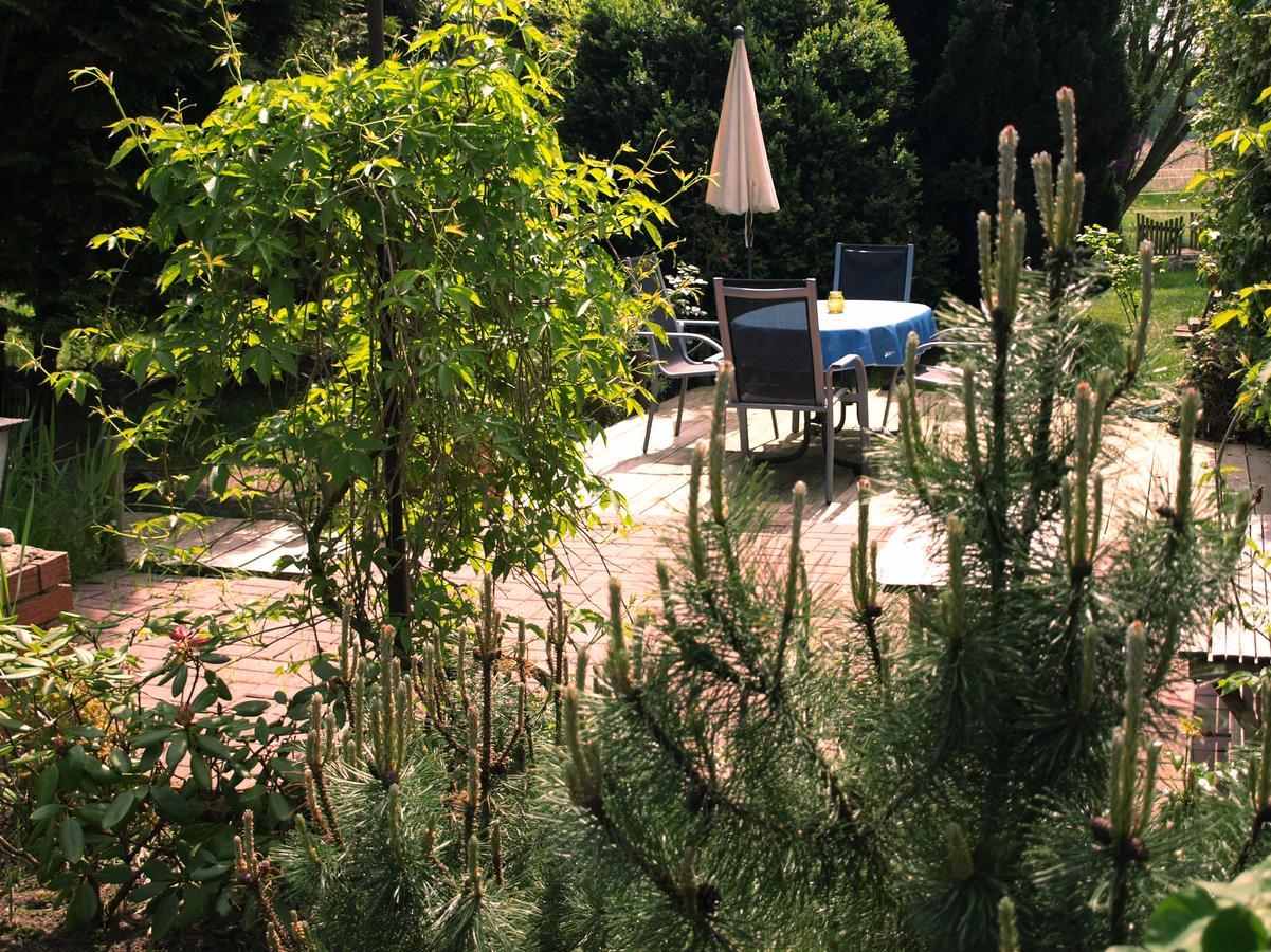 Landhaus Kranichwiese เกอห์เรน-เลบบิน ภายนอก รูปภาพ